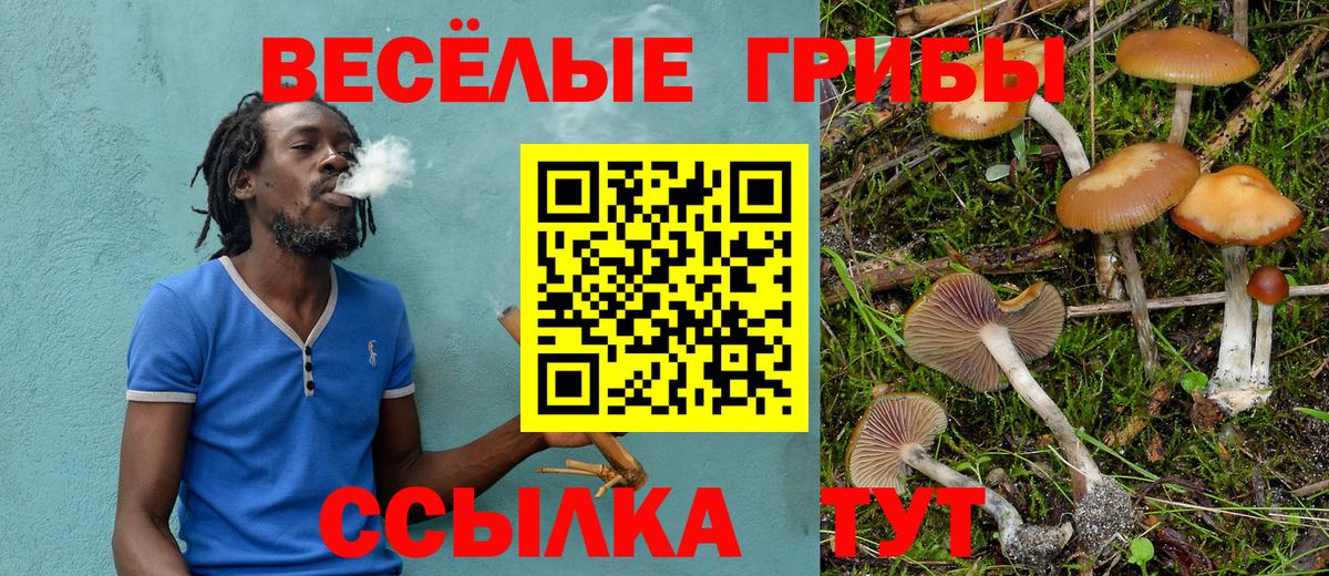 Псилоцибиновые грибы ЛСД Реж