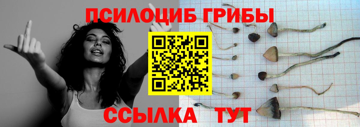 Реж  Псилоцибиновые грибы MAGIC MUSHROOMS  Вход с VPN 